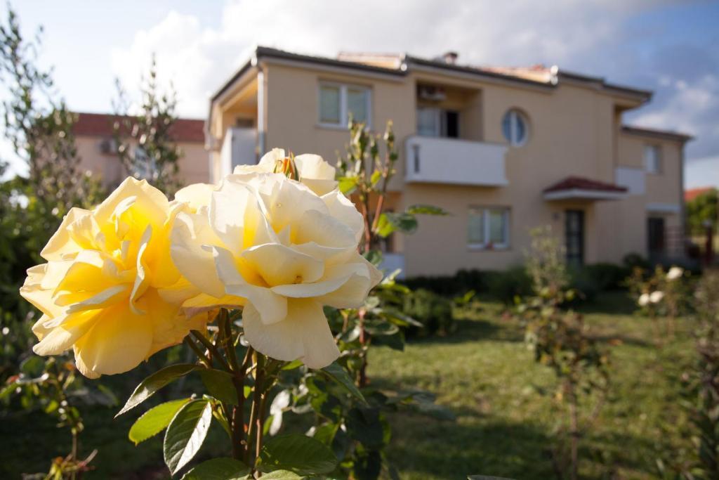 Apartments Emma Biograd Na Moru Exterior foto