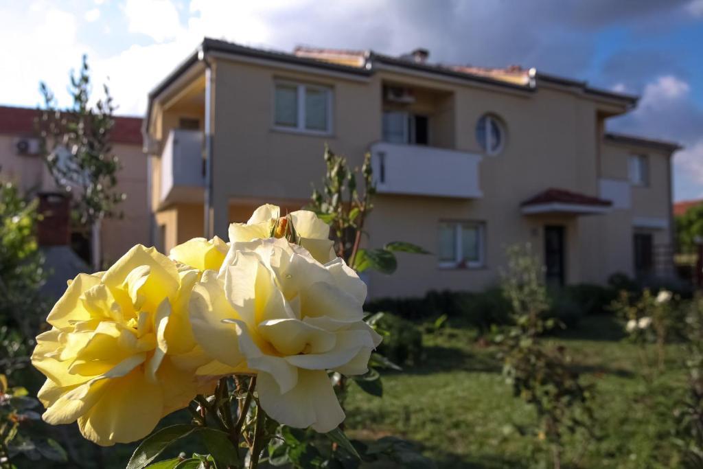 Apartments Emma Biograd Na Moru Exterior foto